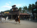 Bild 009