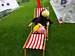 Bild 061