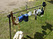 Bild 007
