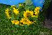 Bild 022